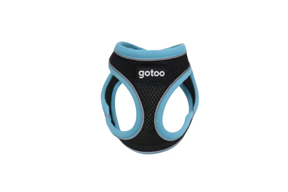 Gotoo – Harnais en Mesh Turquoise pour Chien Authentique