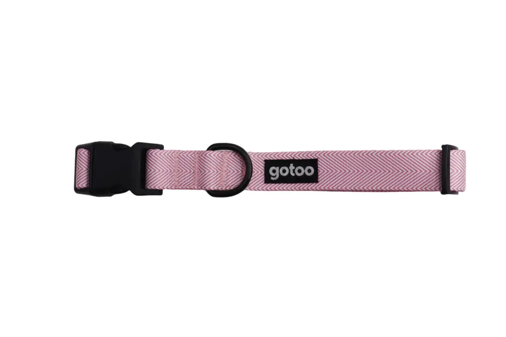 Prix Cassé Gotoo - Collier Chevron Rose pour Chien