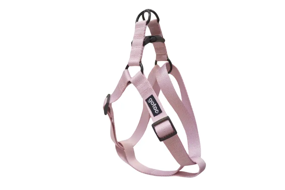 Gotoo – Harnais Chevron Rose pour Chien Prix Promo
