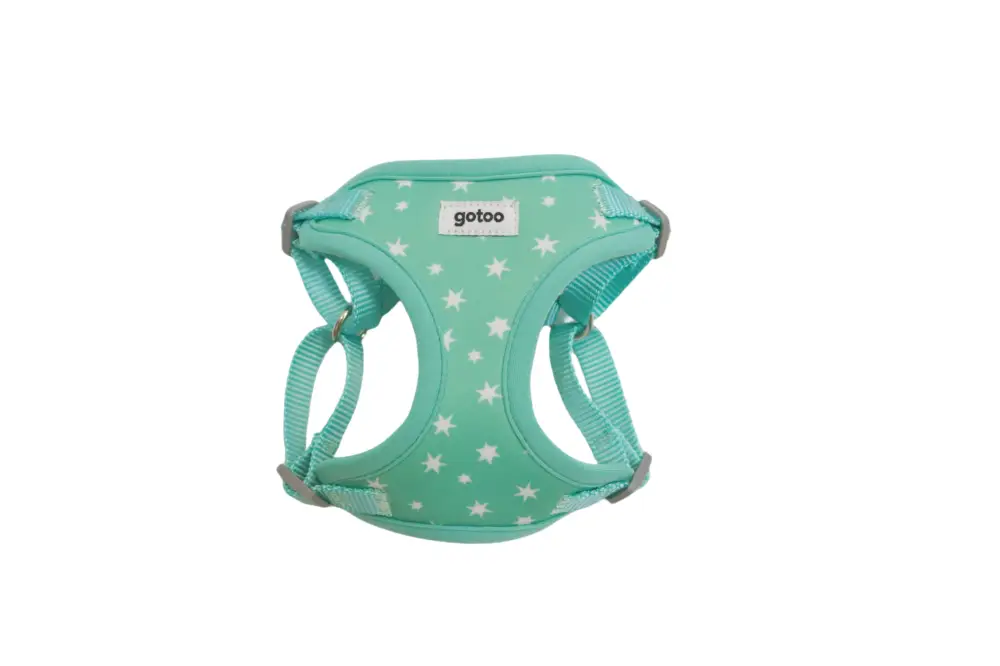 Gotoo – Harnais Etoiles Bleu pour Chiot Satisfait Ou Remboursé