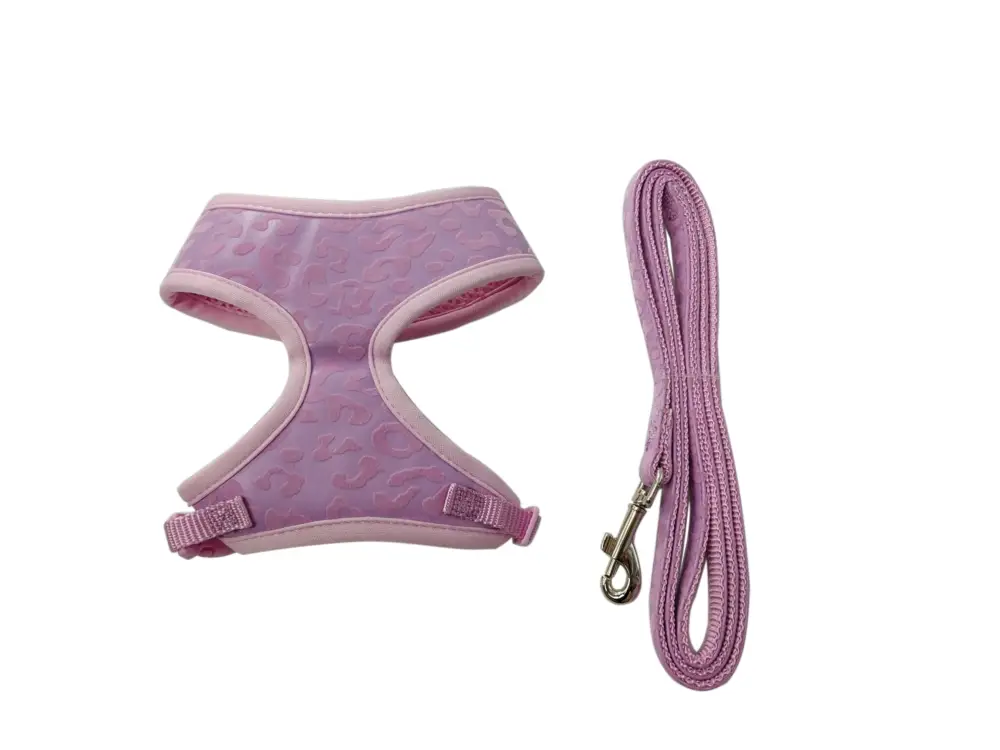 Gotoo - Set Funny pour Chat Prix Réduit