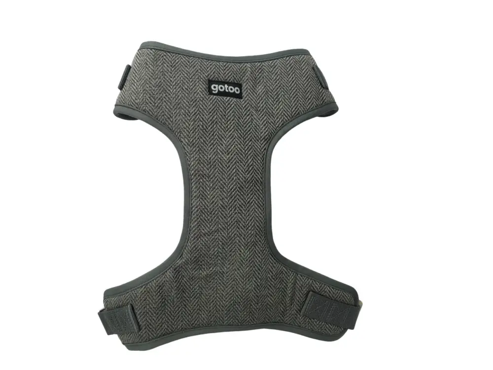 Authentique Gotoo – Harnais Chevron Gris pour Chien