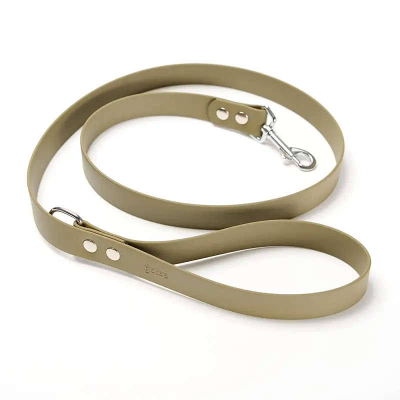 Offre Exclusive Gotoo - Laisse Premium Biotane pour Chien