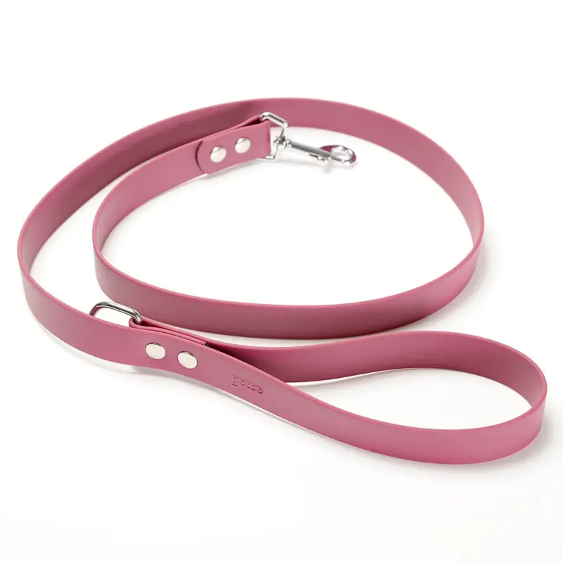 Expédition Rapide Gotoo – Laisse Premium Biotane pour Chien