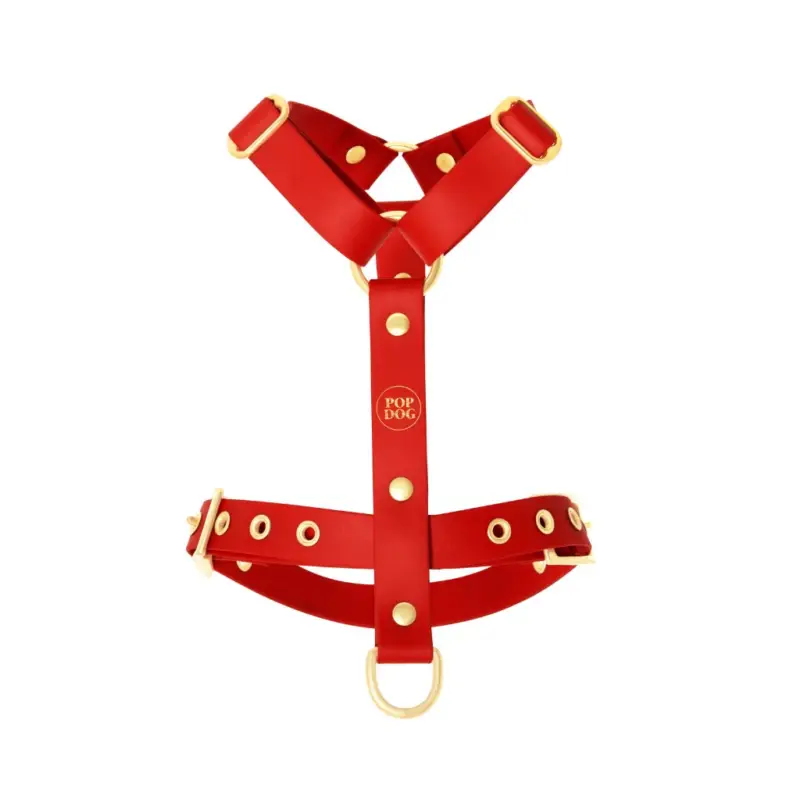 Pop Dog - Harnais à œillets Diablotin Rouge pour Chiens - M Offre Du Jour