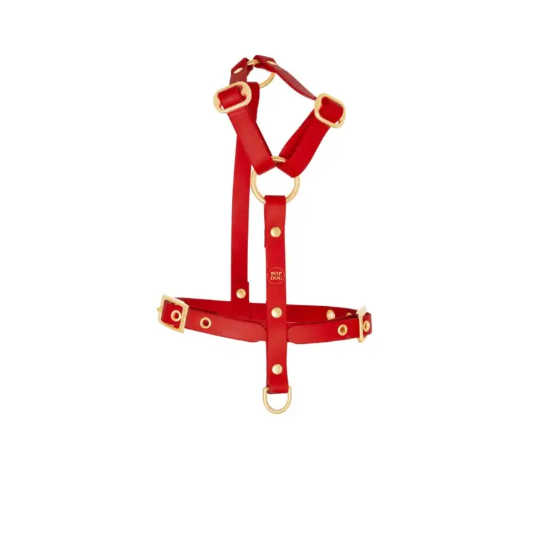 Vente Directe Pop Dog – Harnais &agrave; &oelig;illets Diablotin Rouge pour Chiens – L