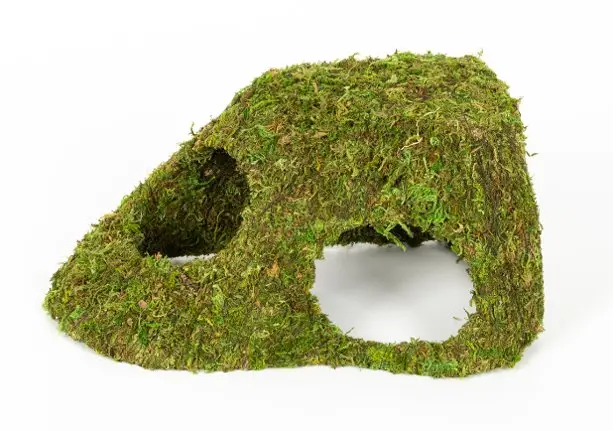 Reptizoo – D&eacute;cor D&ocirc;me Mousse Naturelle – 25,5x14x11cm Offre Spéciale