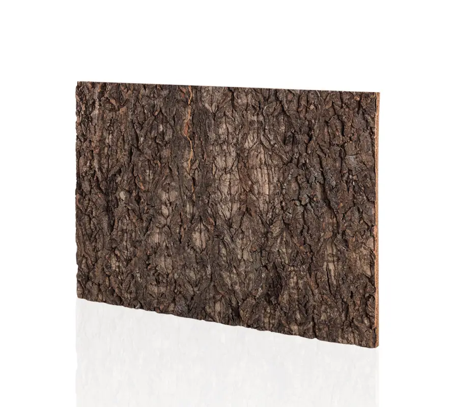 Certifié Reptizoo – Arri&egrave;re Plan Li&egrave;ge Naturel – 60x45cm