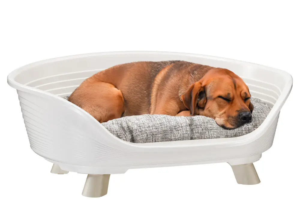 Prix Promo Ferplast – Corbeille Plastique Throne 4 pour Chiens – Blanc