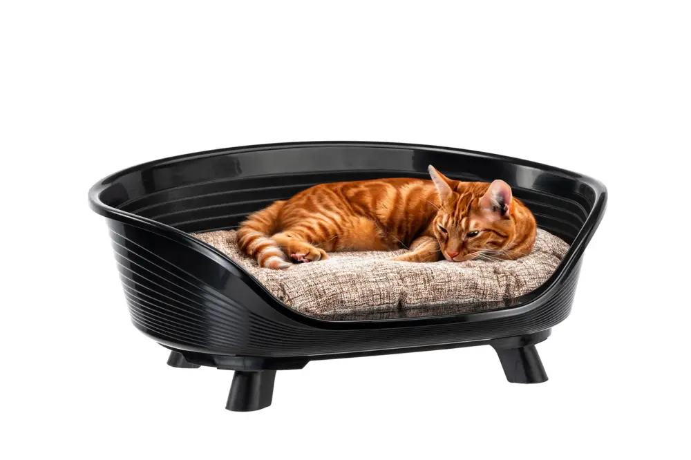 Achetez Aujourd&rsquo;hui Ferplast – Corbeille Plastique Throne 8 pour Chiens – Noir