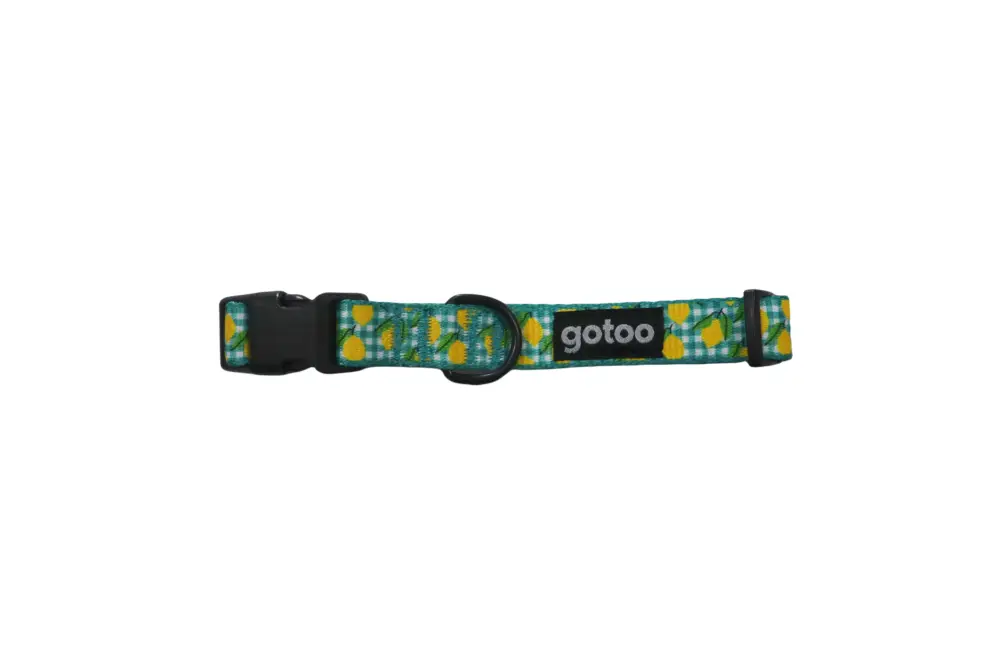 Gotoo - Collier Vichy Jaune pour Chien Nouveauté