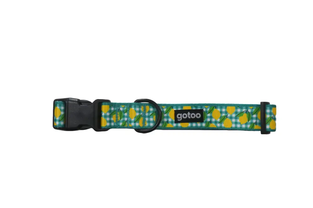 Gotoo – Collier Vichy Jaune pour Chien Achetez Aujourd&rsquo;hui