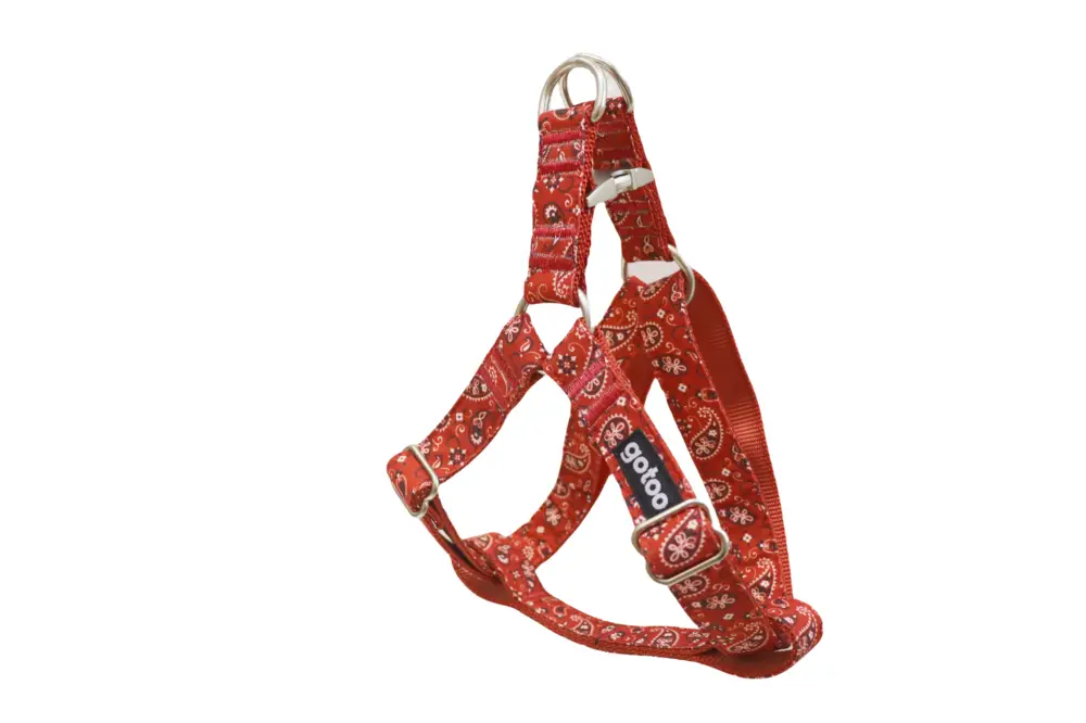 Gotoo - Harnais en Paisley Rouge pour chien Offre Du Jour