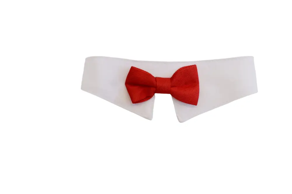 Haute Qualité Gotoo – N&oelig;ud Papillon pour Chat