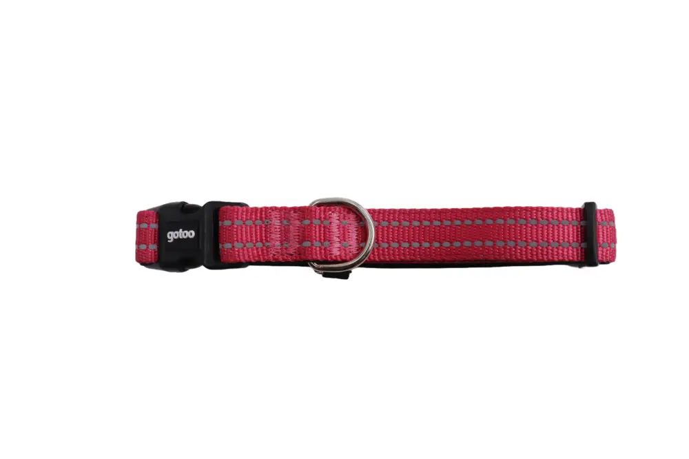 Petit Prix Gotoo – Collier en Nylon Premium Rose pour Chien