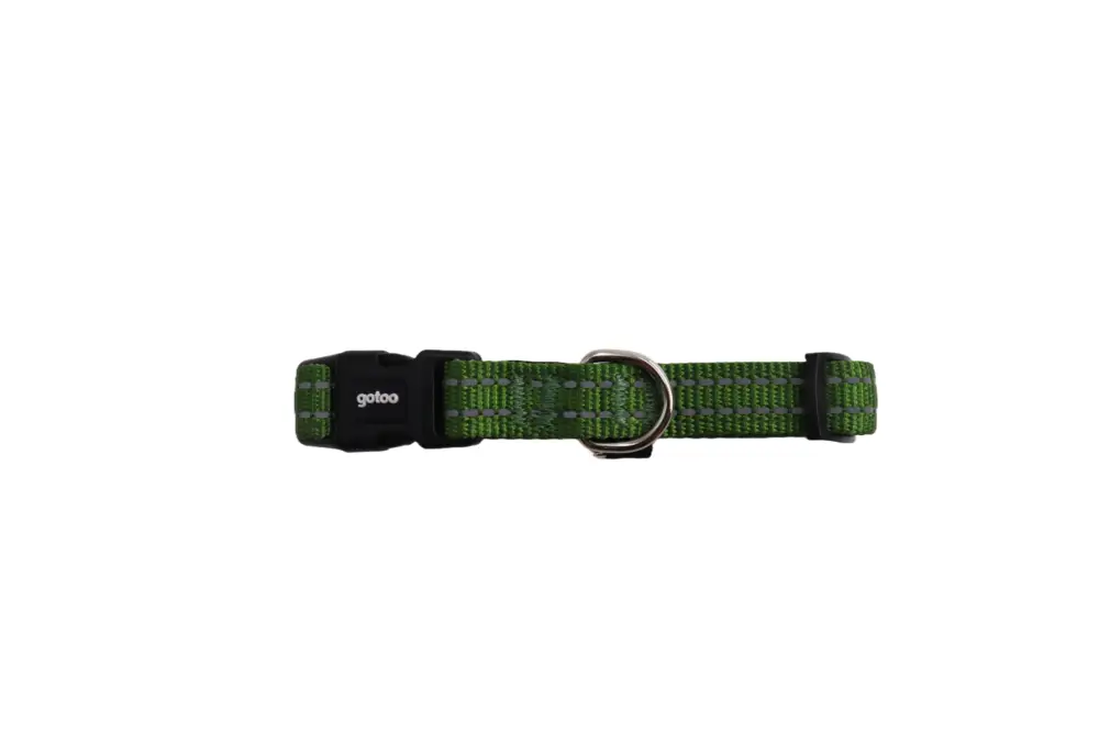 Gotoo - Collier en Nylon Premium Vert pour Chien Dernier Modèle
