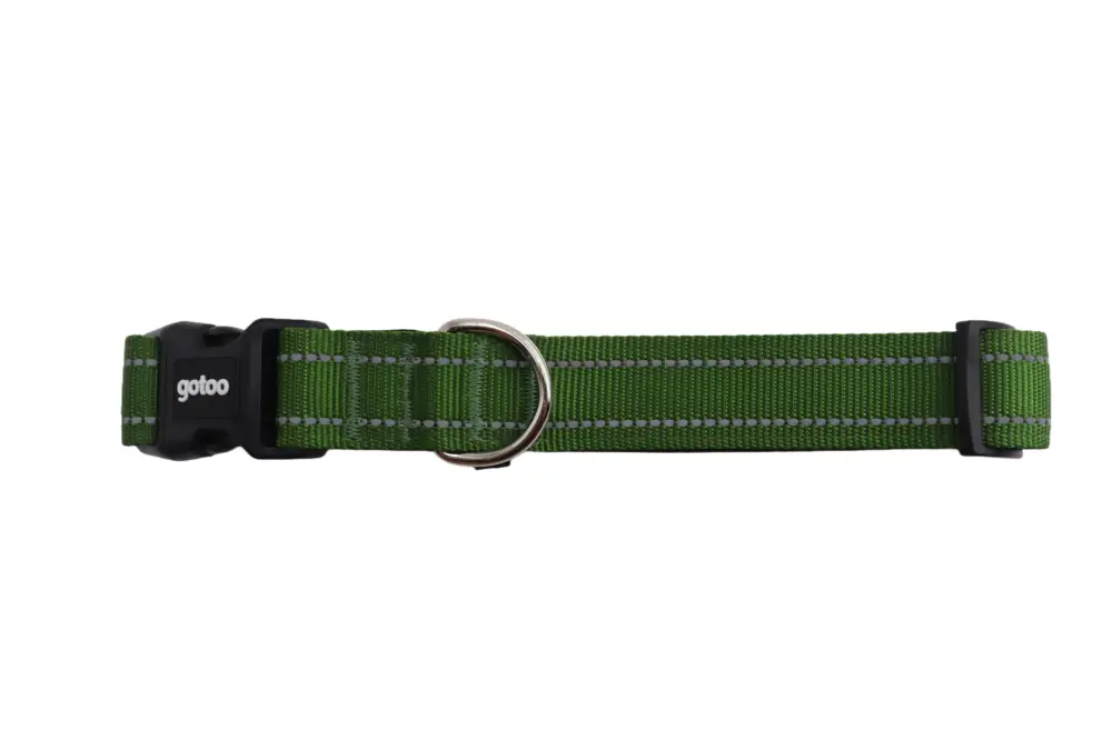 Quantité Limitée Gotoo - Collier en Nylon Premium Vert pour Chien