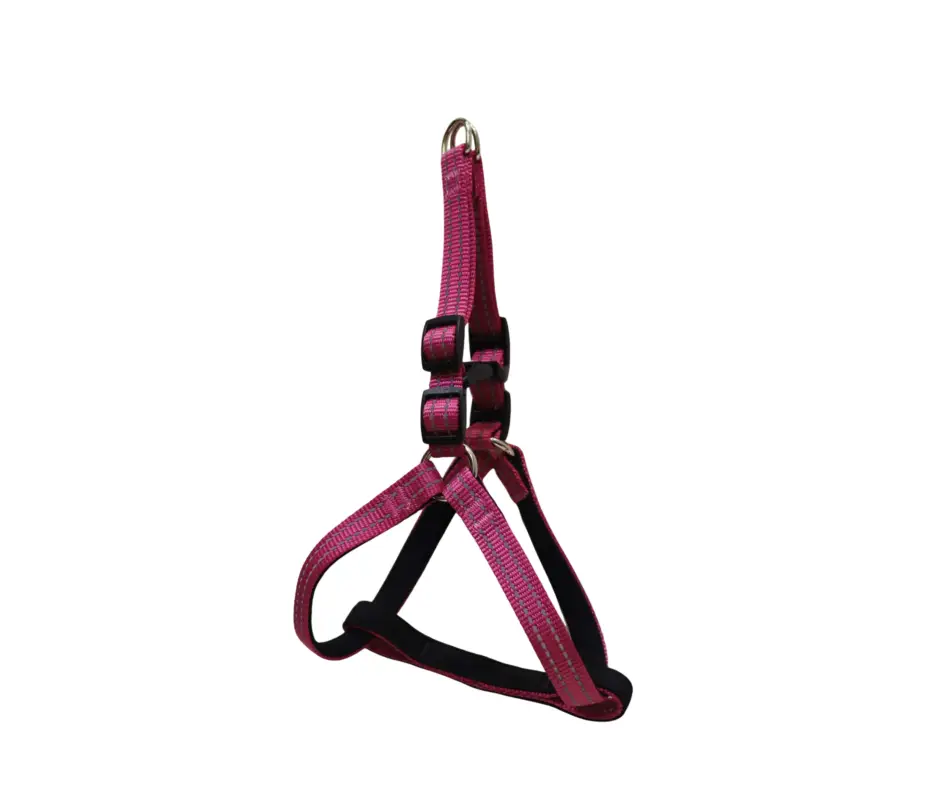 Gotoo - Harnais en Nylon Premium Rose pour Chien Quantité Limitée