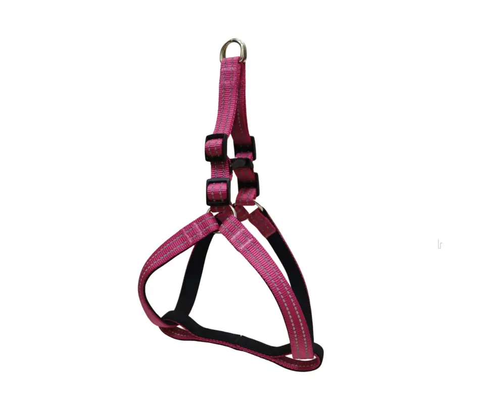 Pas Cher Gotoo – Harnais en Nylon Premium Rose pour Chien