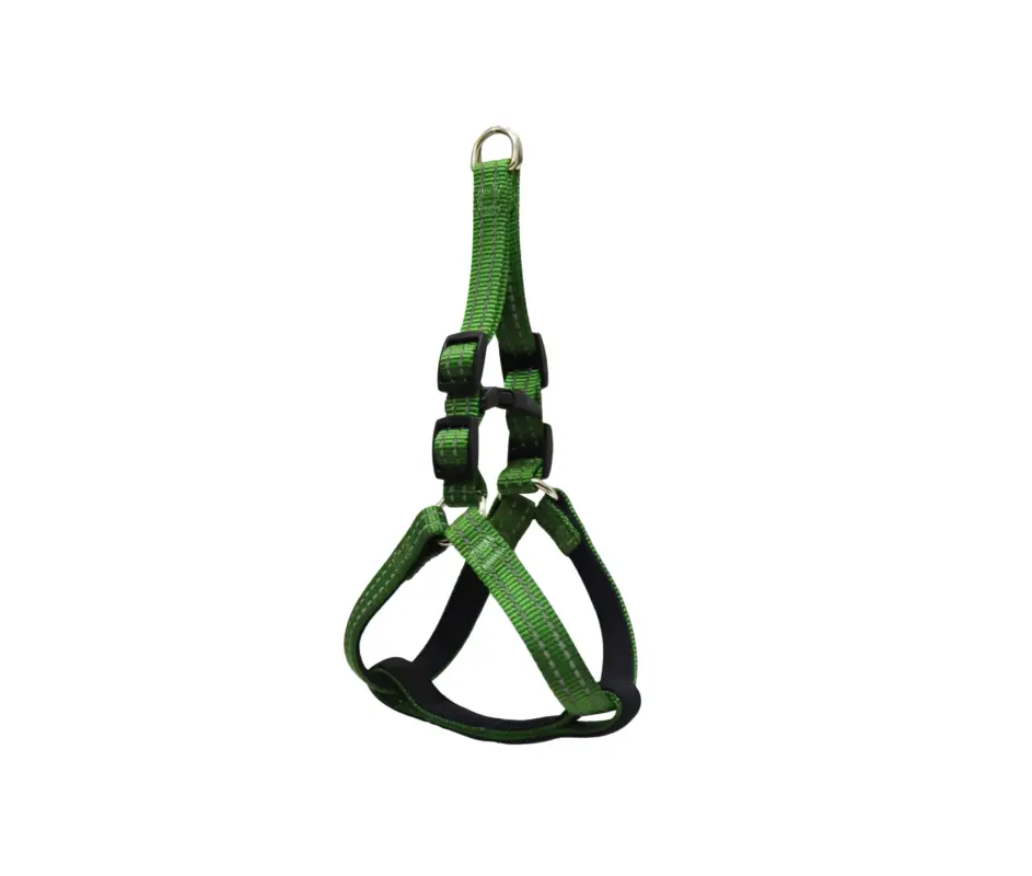 Certifié Gotoo – Harnais en Nylon Premium Vert pour Chien