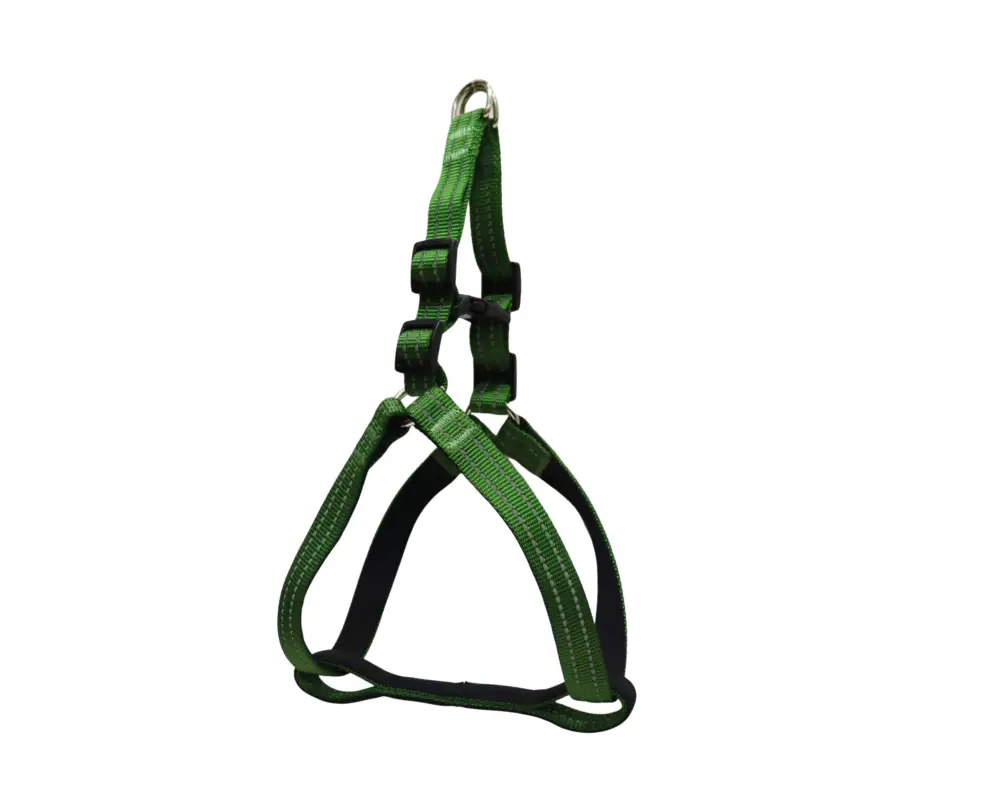 Gotoo - Harnais en Nylon Premium Vert pour Chien Must-Have