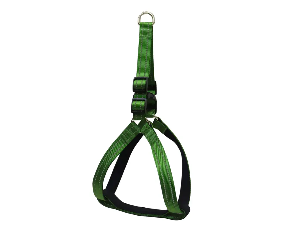 Gotoo – Harnais en Nylon Premium Vert pour Chien Commander Maintenant
