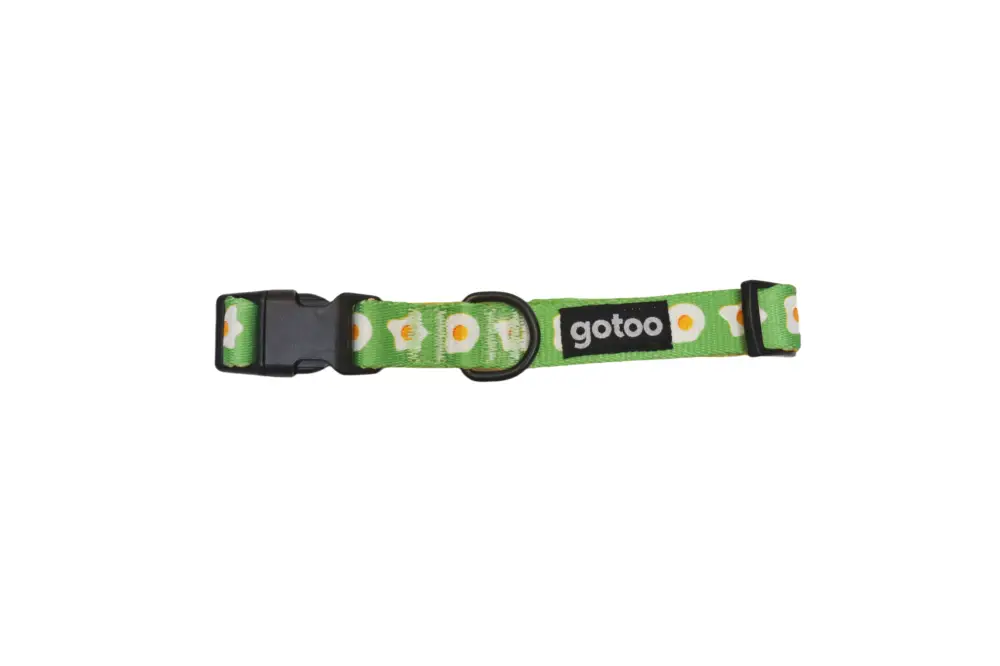 Gotoo – Collier &agrave; Motif Oeuf Vert pour Chien Jusqu&rsquo;à Épuisement Des Stocks
