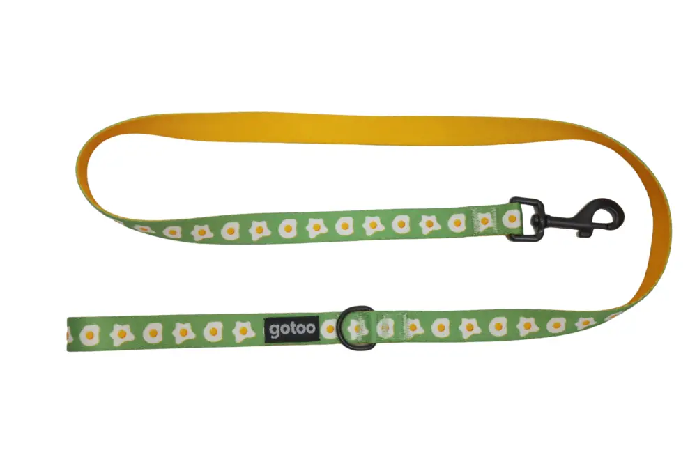 Gotoo – Laisse &agrave; Motif Oeuf Vert pour Chien – M Vente Directe