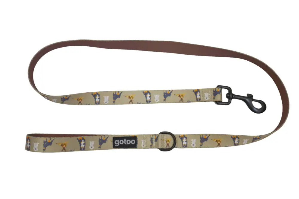 Gotoo – Laisse Marron pour Chien – L Expédition Rapide