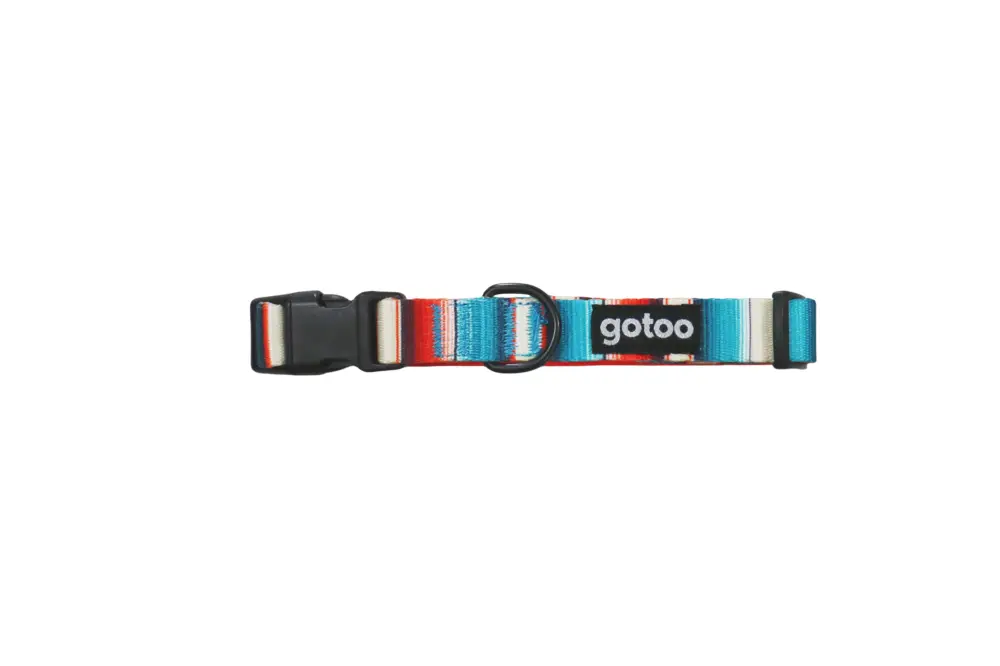 Gotoo – Collier &agrave; Rayures pour Chien Prix Promo