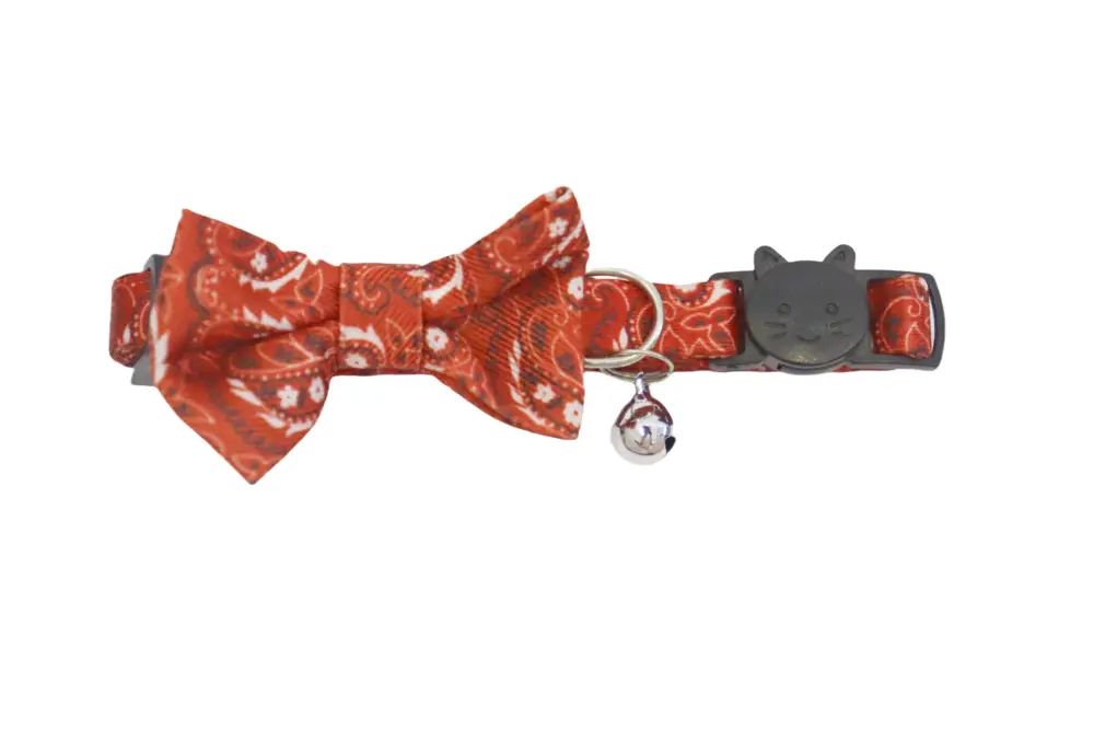Gotoo – Collier pour Chats 1×21-30cm Remise