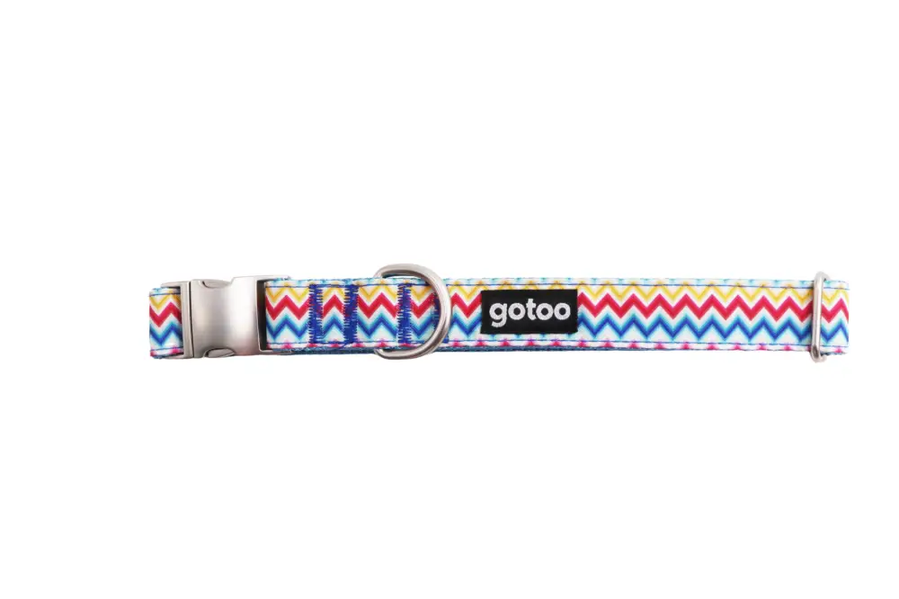 Gotoo – Collier ZigZag pour chien Prix Réduit