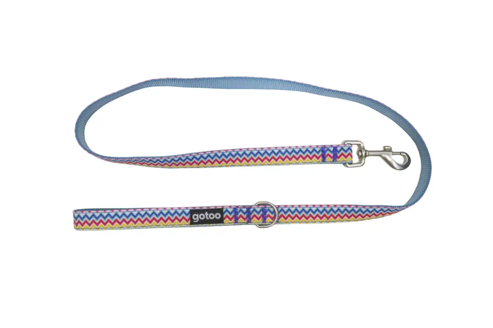 Gotoo - Laisse ZigZag pour chien - M Offre Exclusive