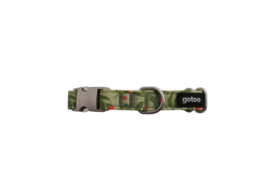 Gotoo – Collier &agrave; motif Botanic Vert pour chien Meilleur Prix