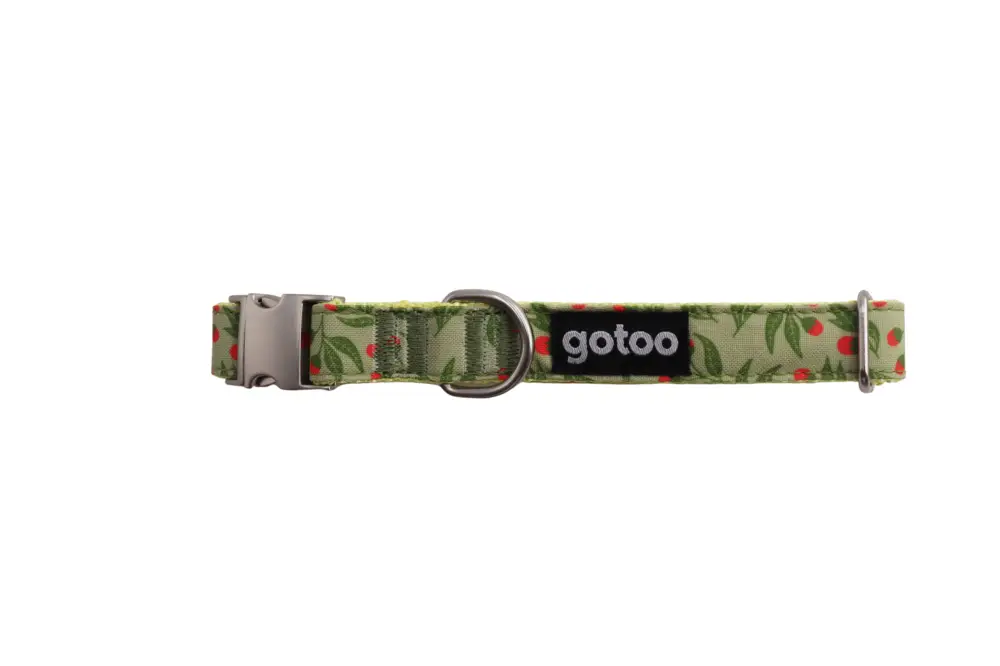 Expédié Aujourd'hui Gotoo - Collier à motif Botanic Vert pour chien