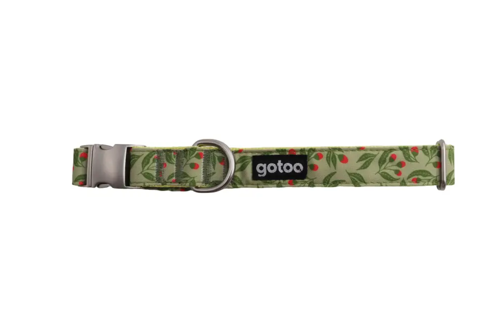 Marque Gotoo – Collier &agrave; motif Botanic Vert pour chien