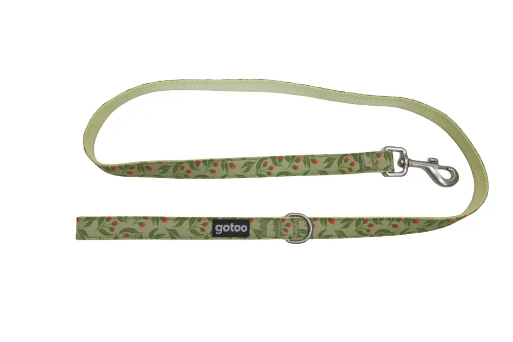 Gotoo - Laisse à motif Botanic Vert pour chien - M Achat Immédiat