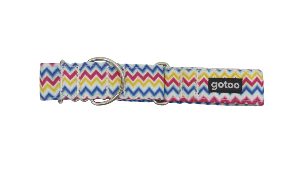 Commander Maintenant Gotoo - Collier Lévrier Zig-Zag pour Chien - 36/50cm