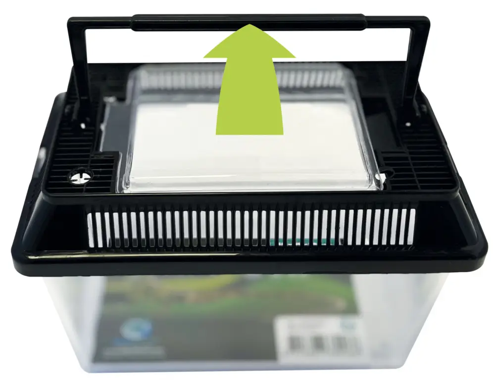 Offre Limitée Repto - Box Terrarium 18 X 11 X 12cm- Réptiles