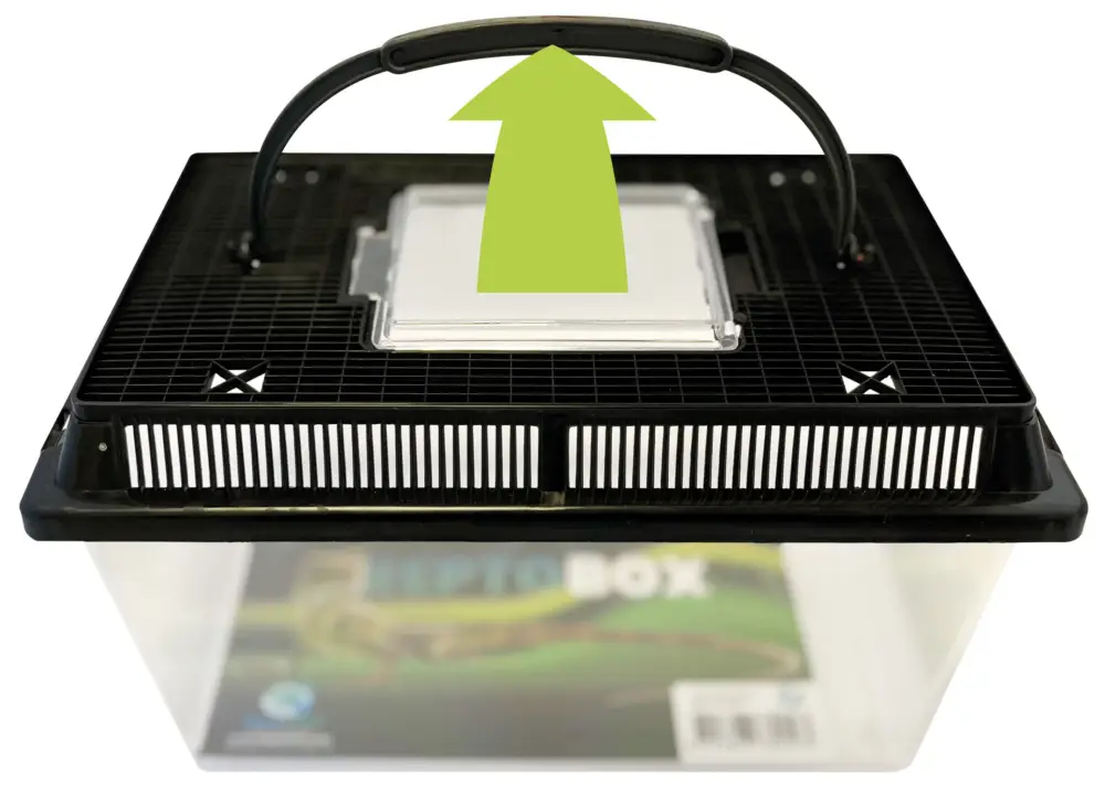 Usine Directe Repto – Box Terrarium 27 X 17 X 16cm – R&eacute;ptiles