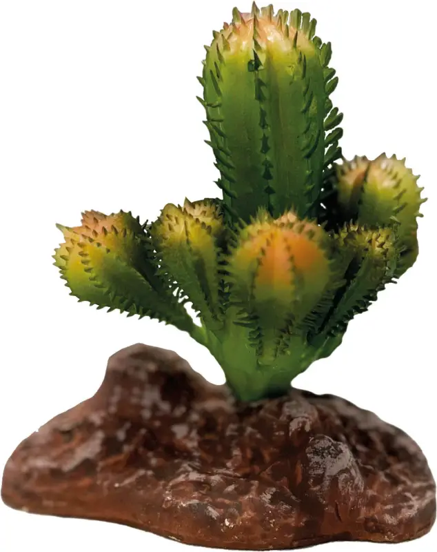 Repto – D&eacute;coration Plante Cactus – R&eacute;ptiles Acheter En Ligne