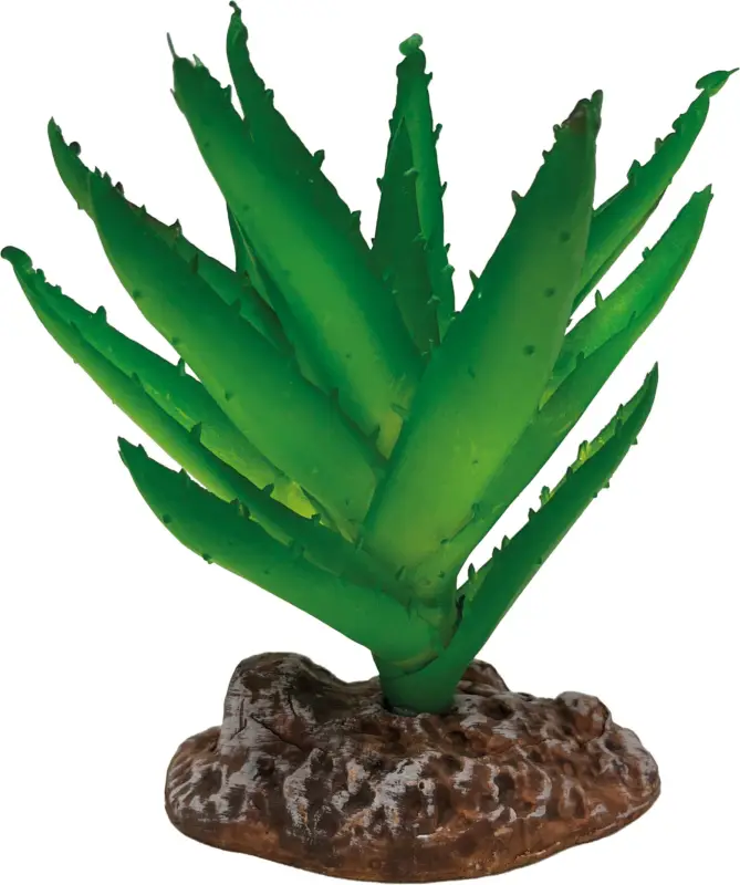 Repto - Décoration Plante Aloe Vera - Réptiles Promotion