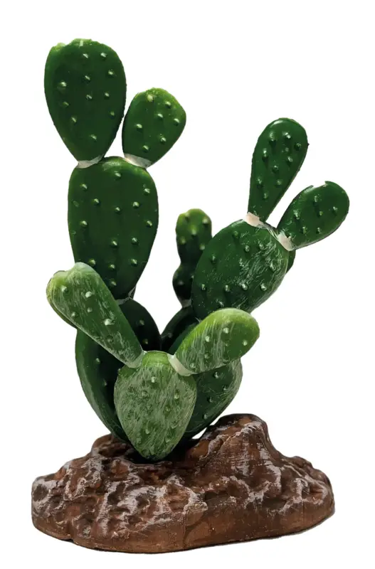 Authentique Repto – D&eacute;coration Repto Plant Cactus Opuntia – R&eacute;ptiles