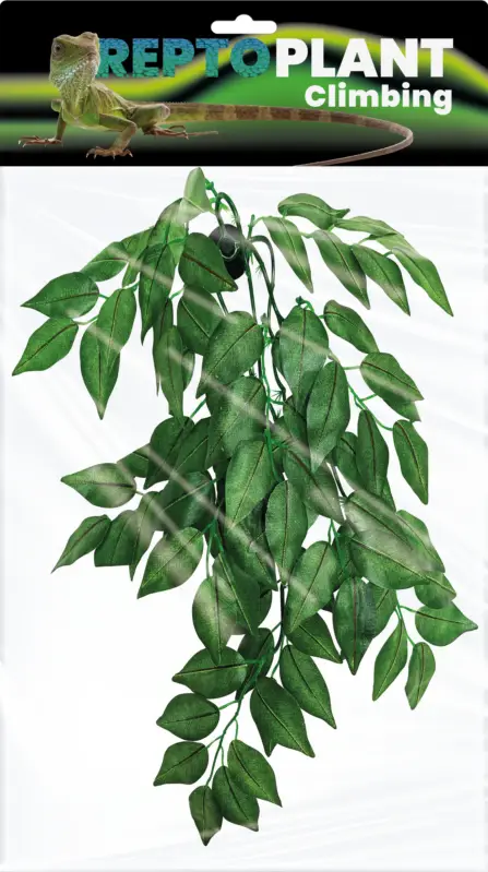 Repto – D&eacute;coration Plante Verte Suspendue – 30cm Commander Vite