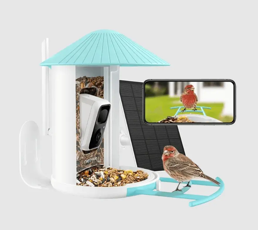 Promotion Birdfy -Mangeoire Intelligente Avec Caméra pour Oiseaux