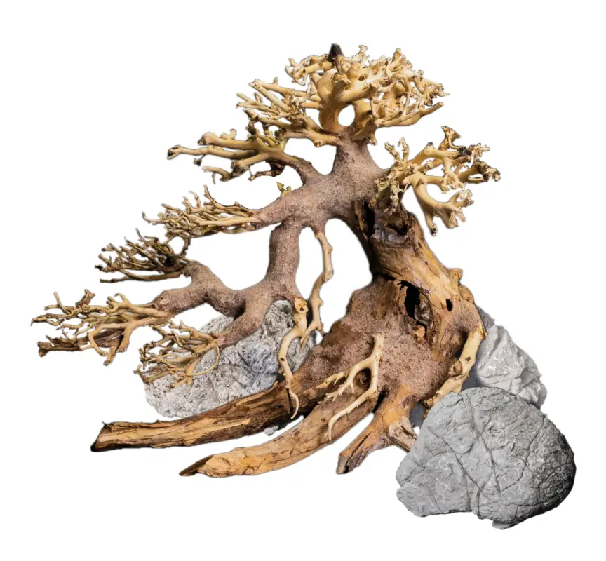Prix Réduit Dennerle – Kit de D&eacute;coration Naturelle Box Bonsai