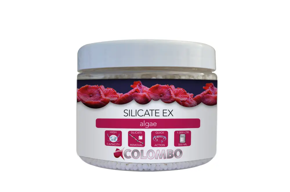 Colombo – Traitement Silicate Ex Algae Marine – 500ml Quantité Limitée