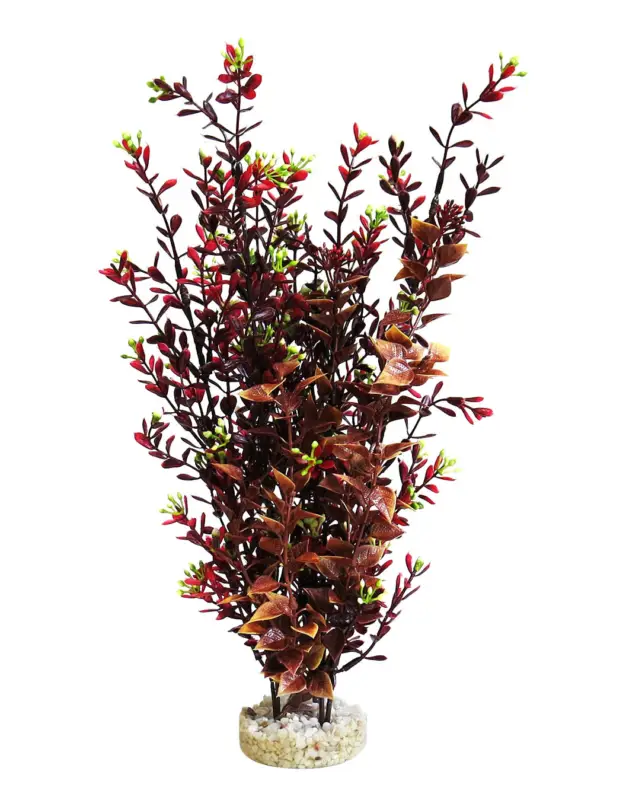 Tyrol – D&eacute;coration Plantes Fleuries + support pour Aquarium – 35cm Certifié