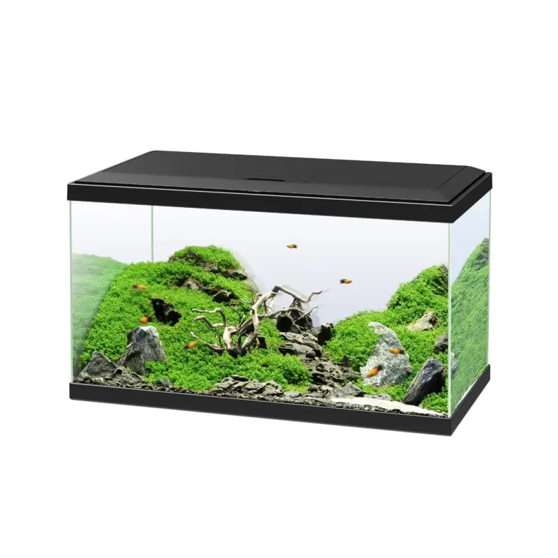 Ciano – Aquarium 60 Noir Equip&eacute; – 58L Acheter Direct