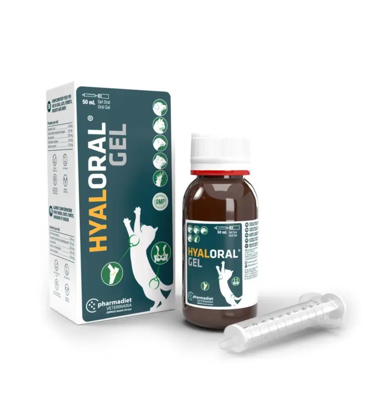 Virbac – Hyaloral Gel Chondroprotecteur Pour Chats et Chiens – 50ml Quantité Limitée